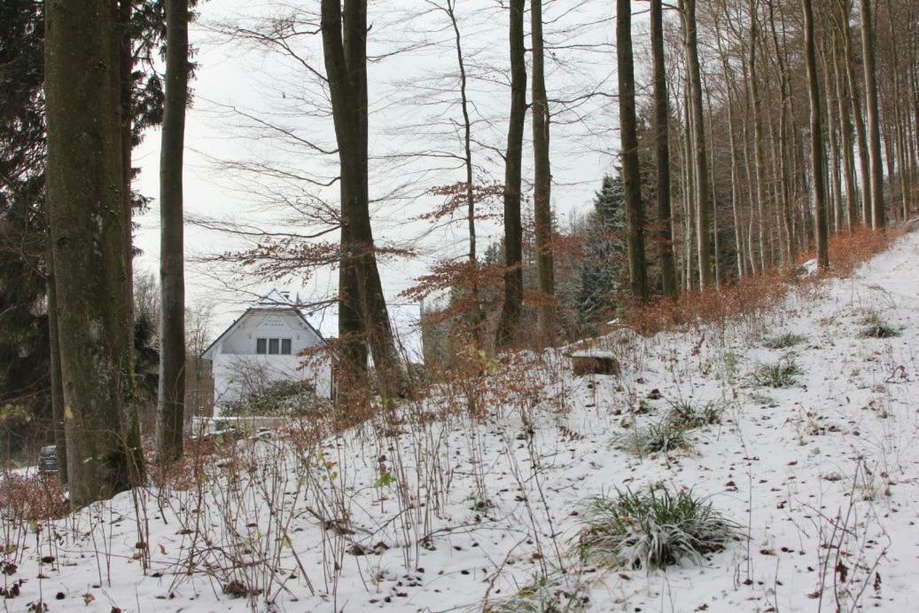 Pension Walddorf Winterberg Eksteriør bilde