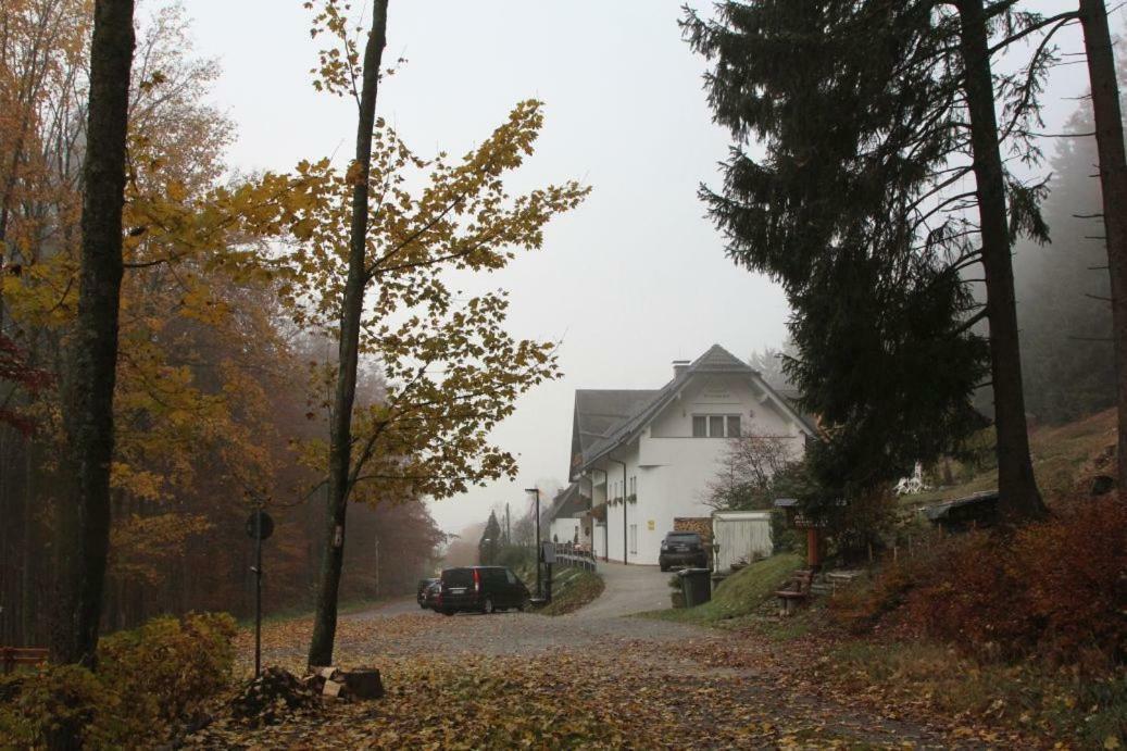 Pension Walddorf Winterberg Eksteriør bilde