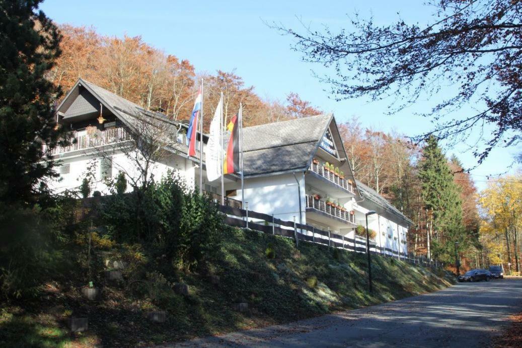 Pension Walddorf Winterberg Eksteriør bilde